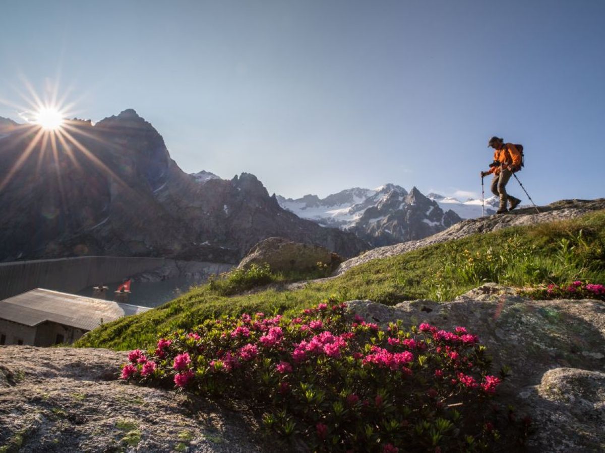 Attività all'aria aperta