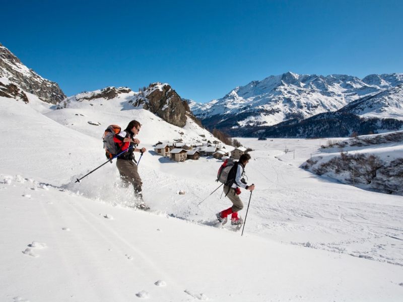 Snowshoeing trails